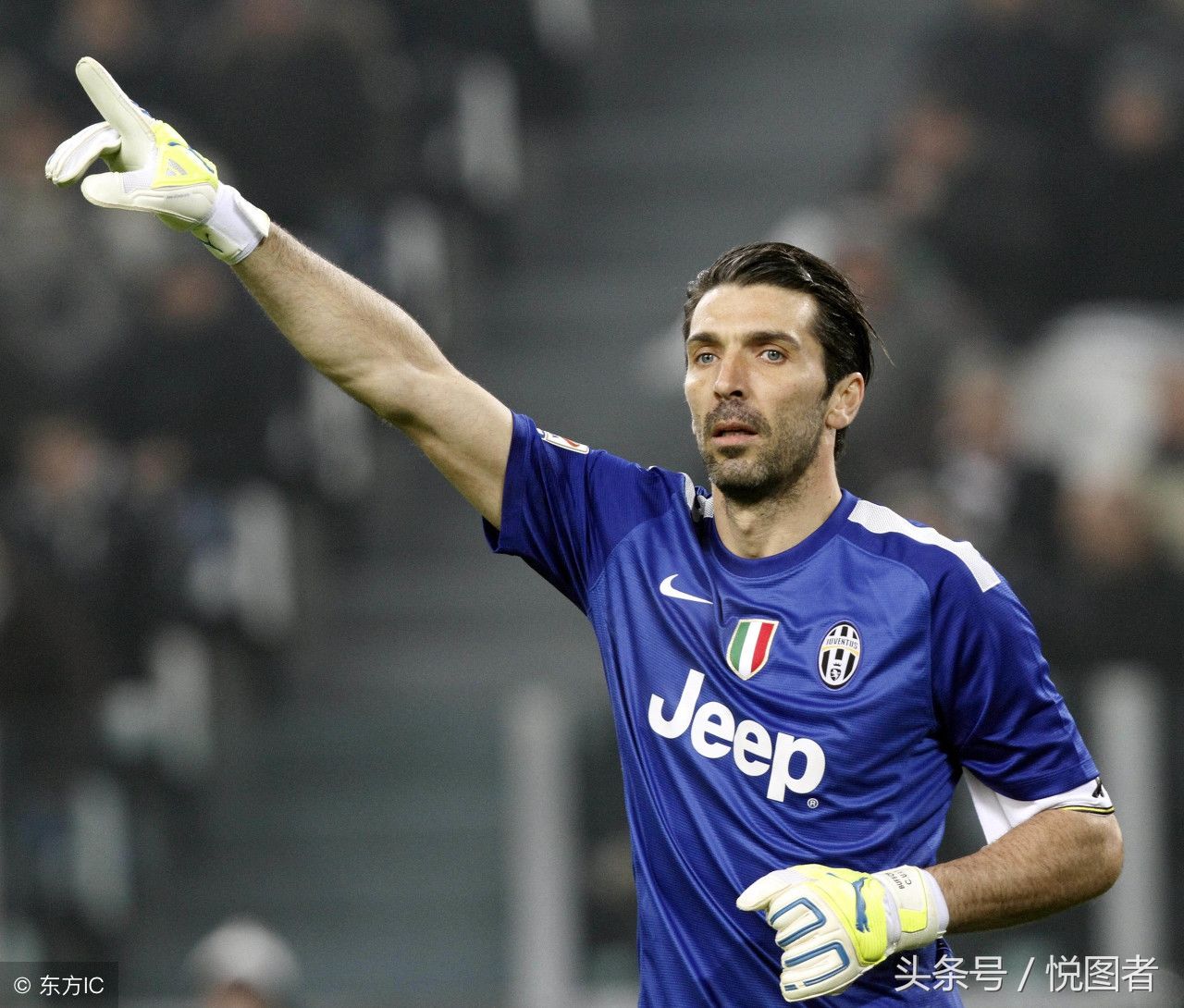 参与其中 参与其中